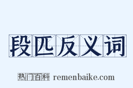段匹反义词是什么意思的图片